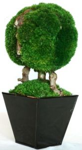 13 inch   Single Ball Moss Topiary